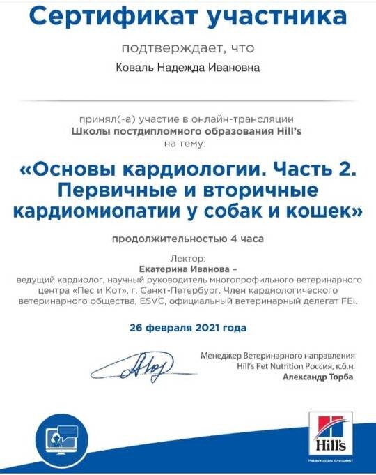 Документ или сертификат