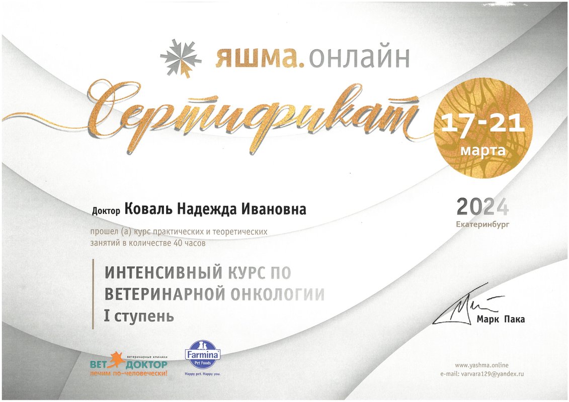 Документ или сертификат
