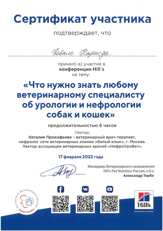Документ или сертификат