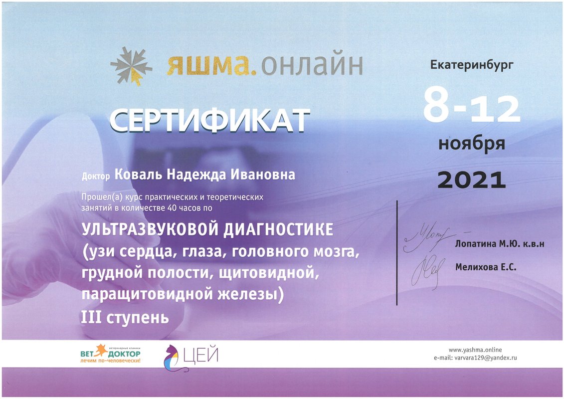 Документ или сертификат