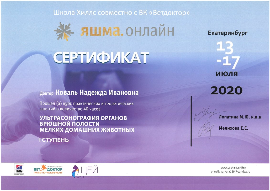 Документ или сертификат