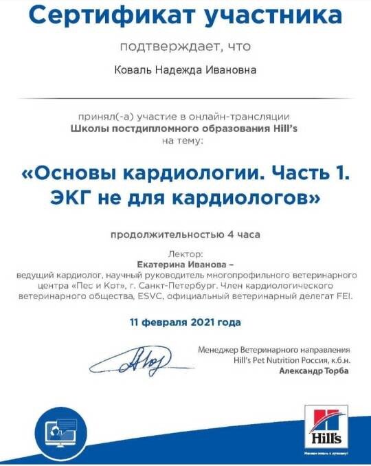 Документ или сертификат