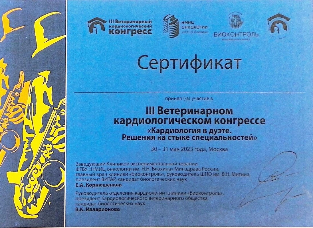 Документ или сертификат