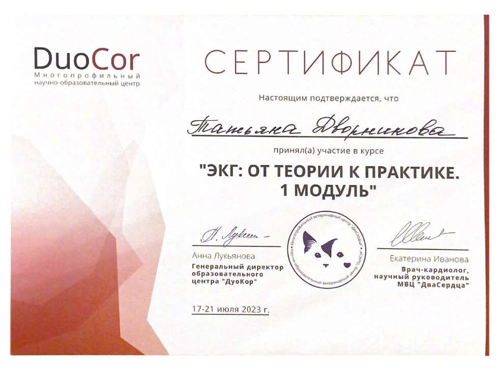 Документ или сертификат
