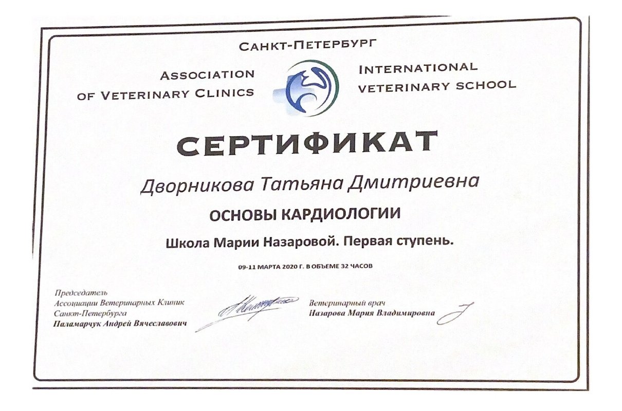 Документ или сертификат
