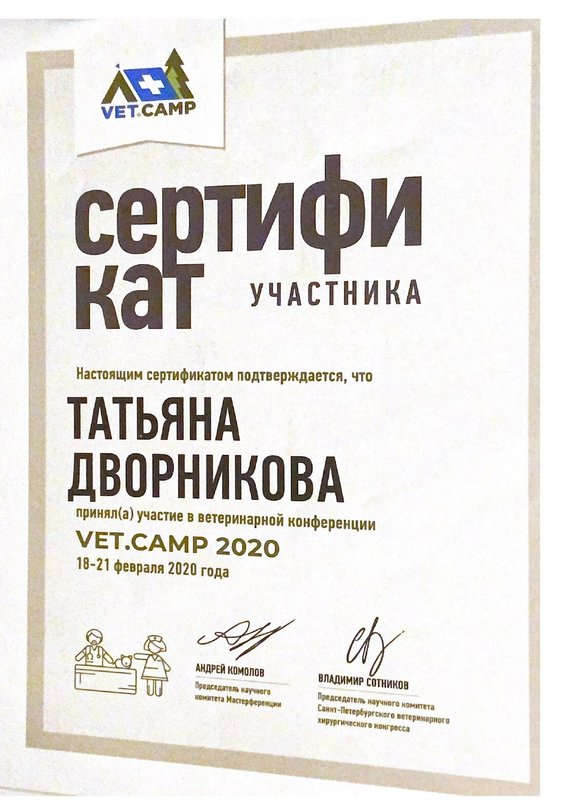 Документ или сертификат