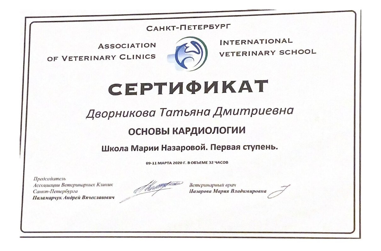 Документ или сертификат