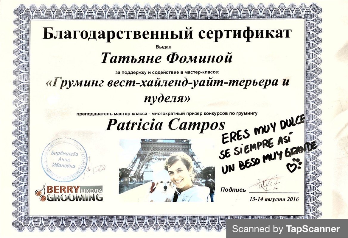 Документ или сертификат