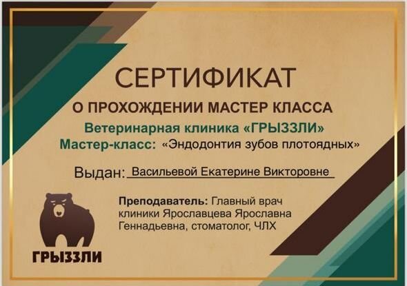 Фото врача