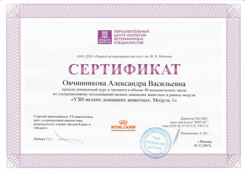 Документ или сертификат
