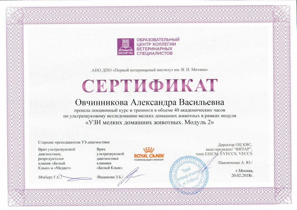 Документ или сертификат