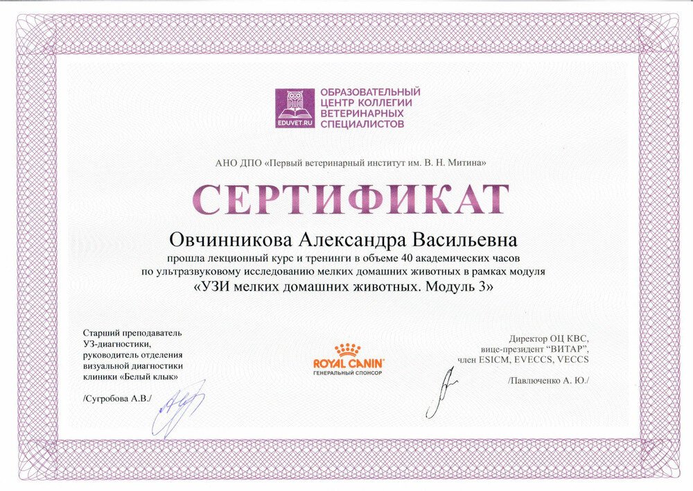 Документ или сертификат