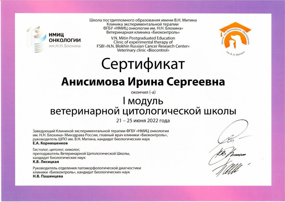 Документ или сертификат