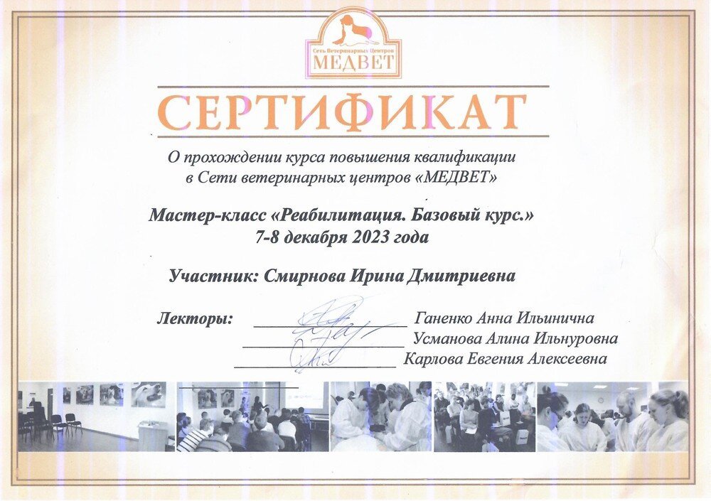 Документ или сертификат