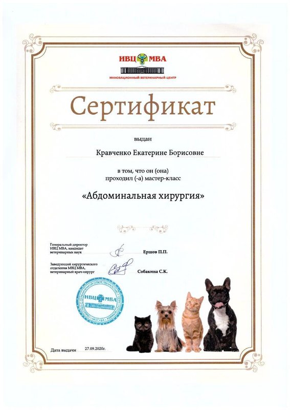 Документ или сертификат