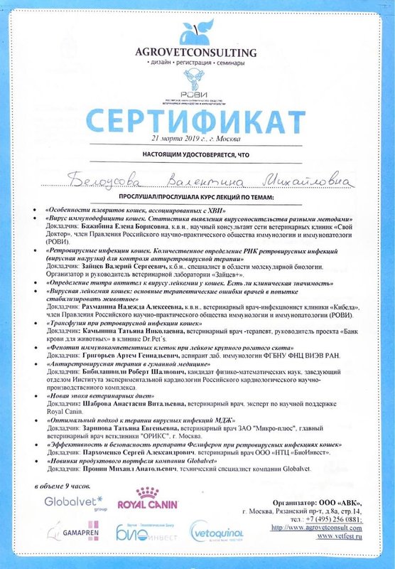 Документ или сертификат