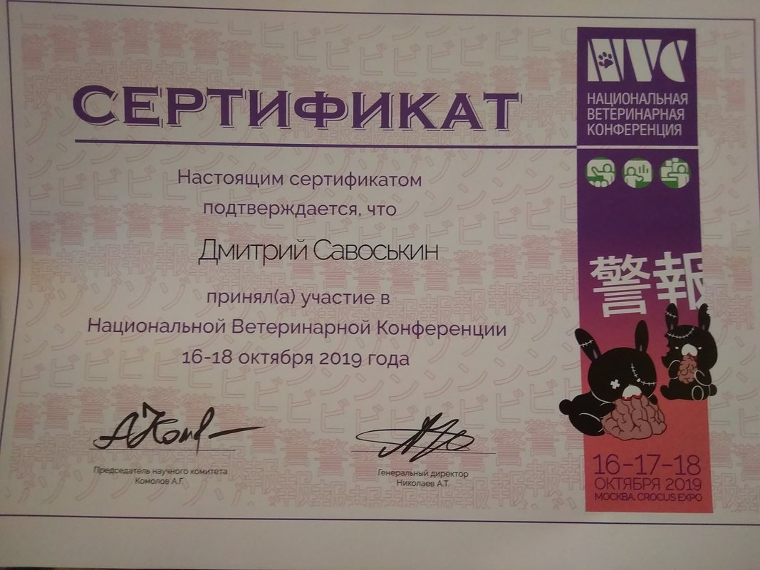 Документ или сертификат