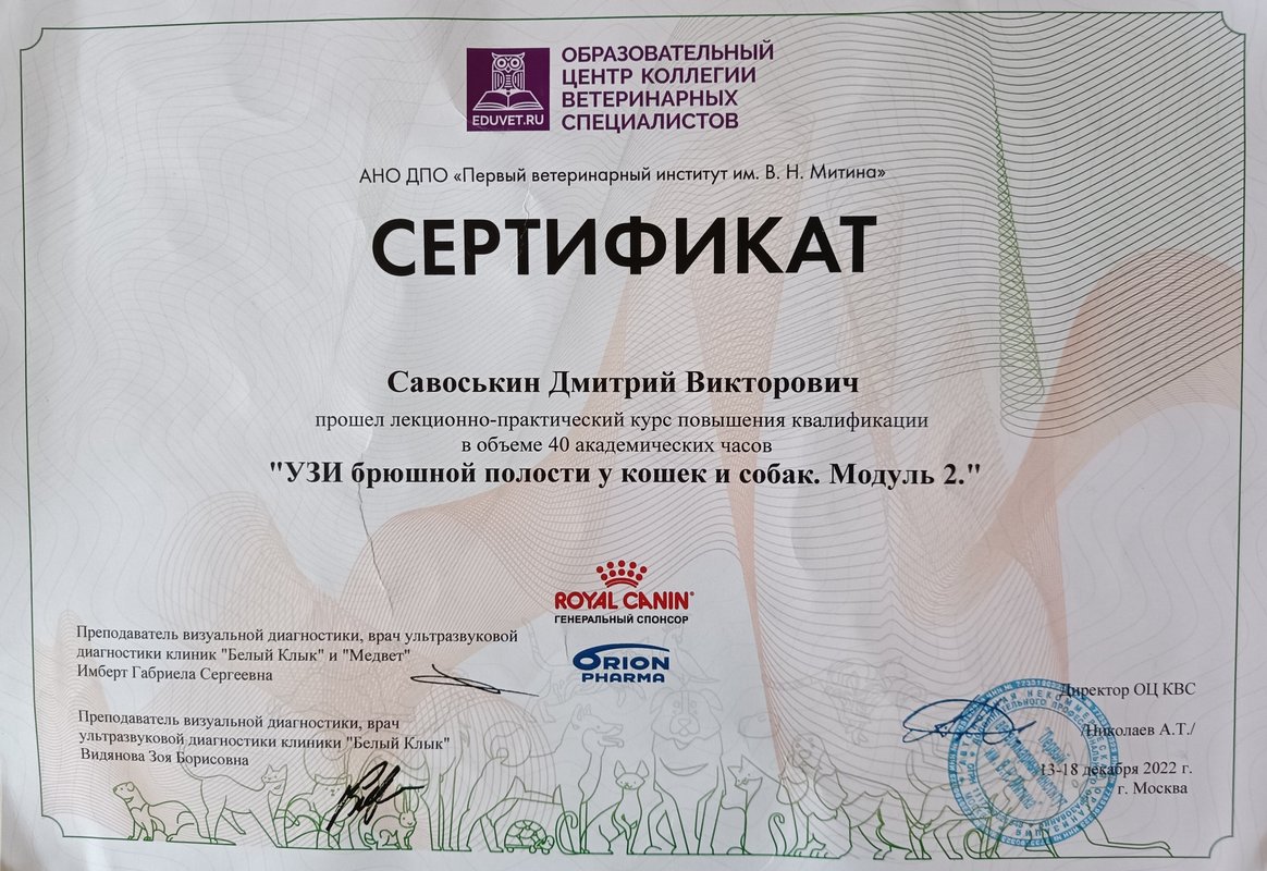 Документ или сертификат