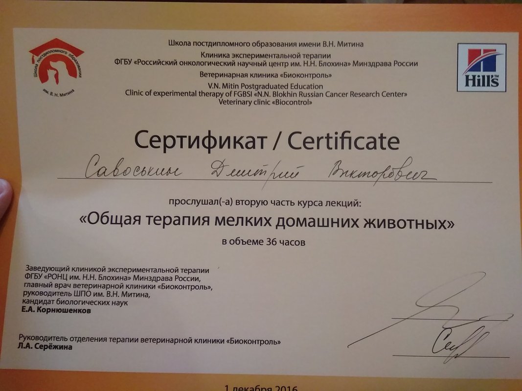 Документ или сертификат
