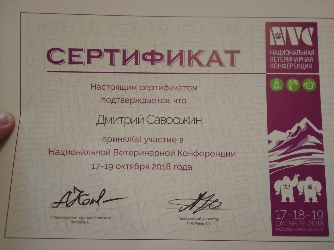 Документ или сертификат