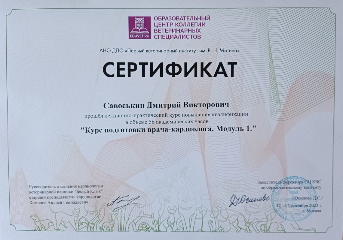 Документ или сертификат