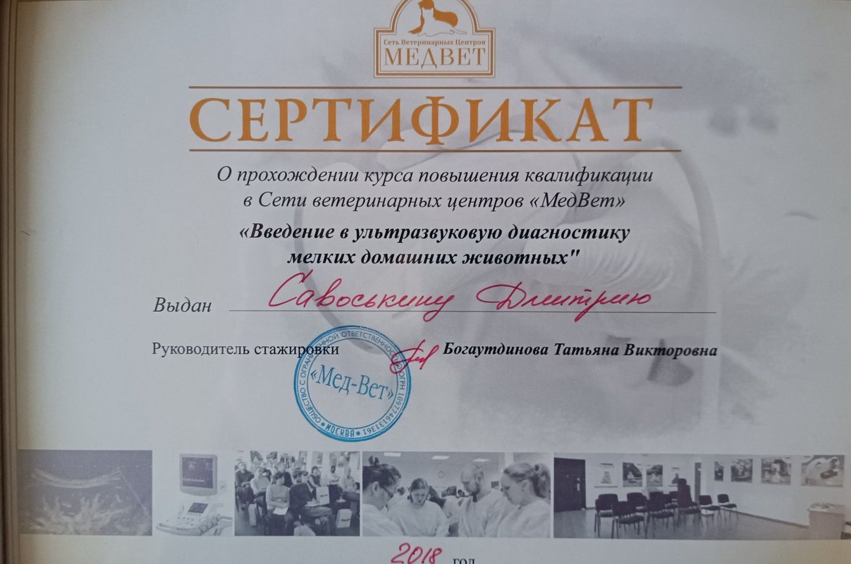 Документ или сертификат