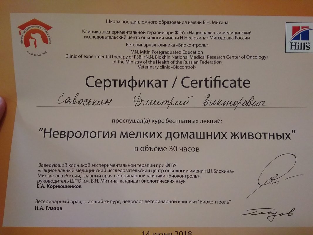 Документ или сертификат