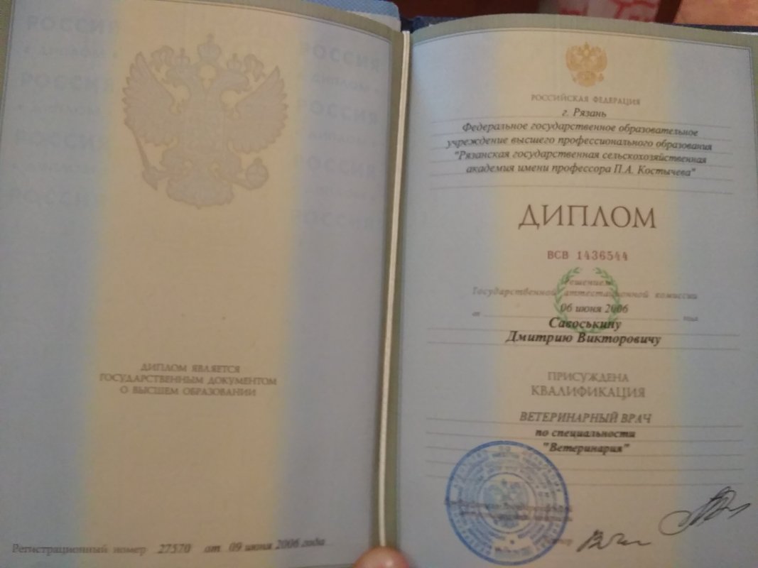 Документ или сертификат
