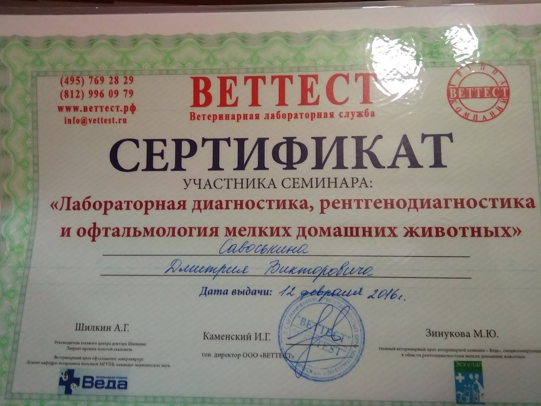 Документ или сертификат