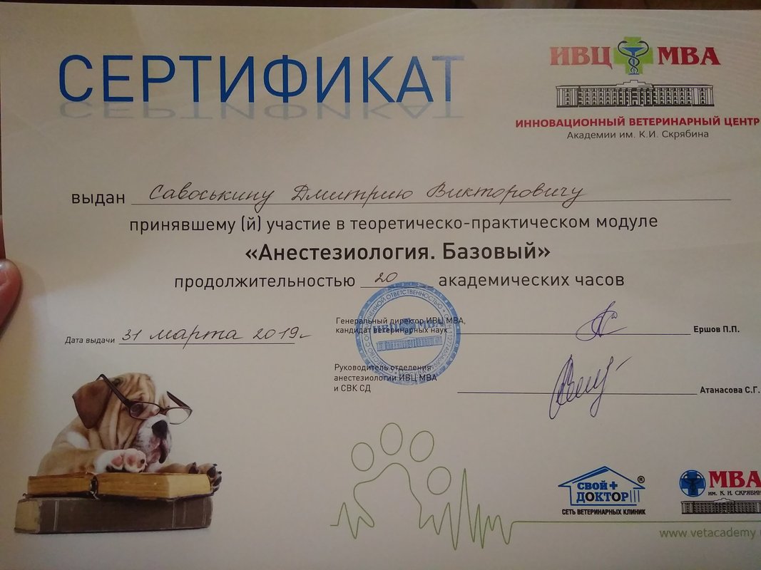 Документ или сертификат