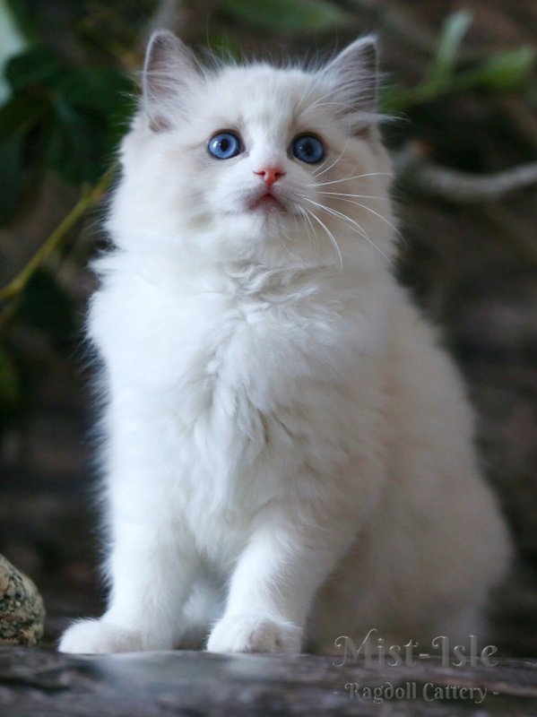 Фото врача