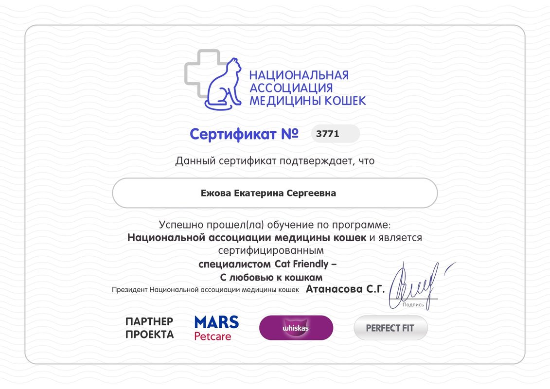 Документ или сертификат