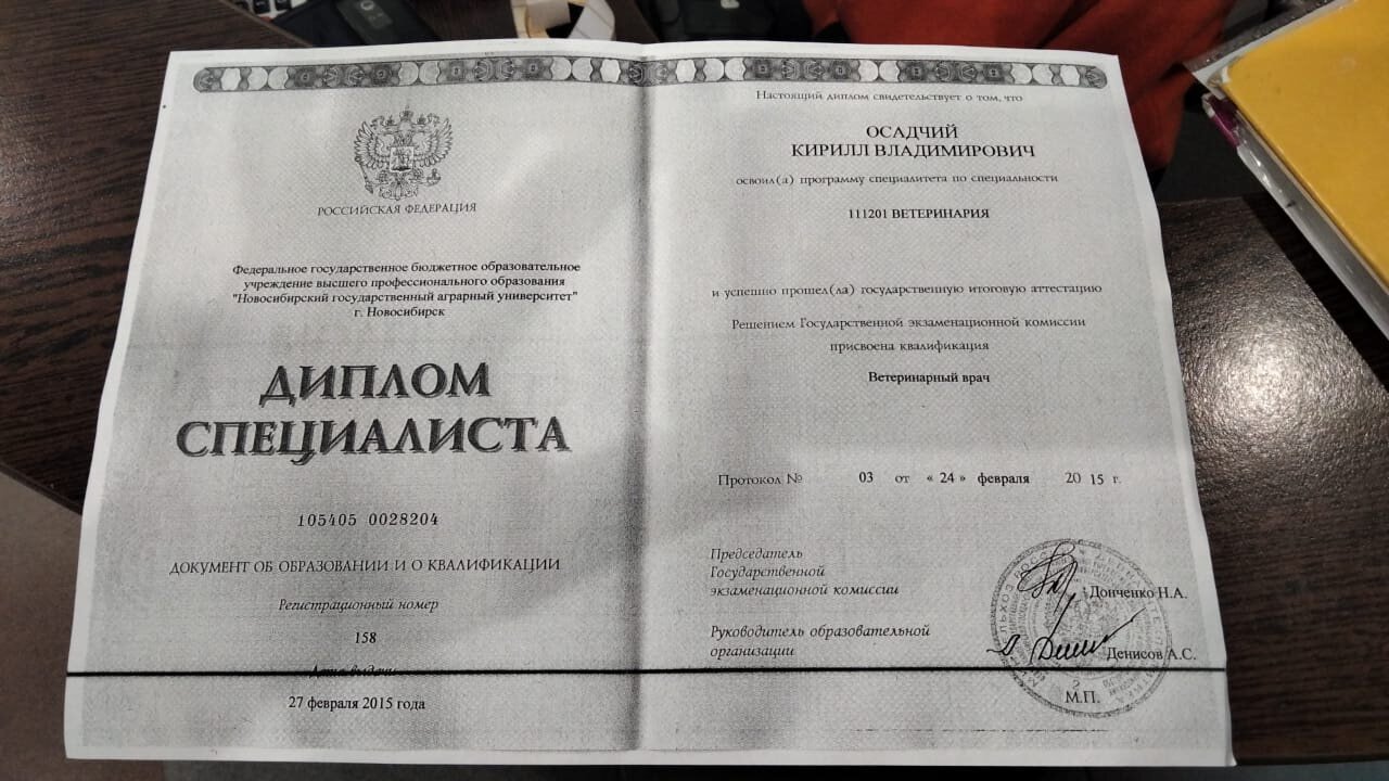 Документ или сертификат