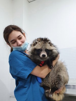 Фото врача Середа Зоя Радиковна