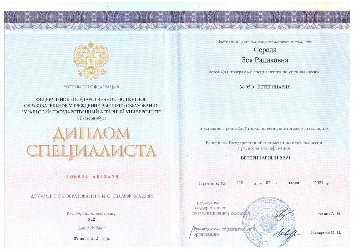 Документ или сертификат