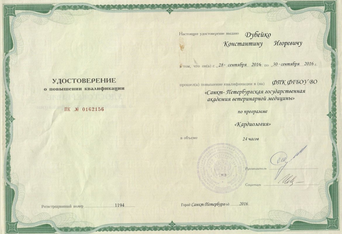 Документ или сертификат