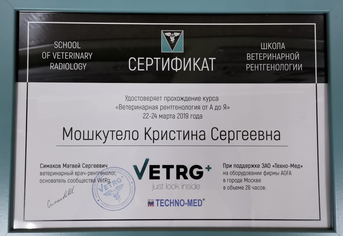 Документ или сертификат