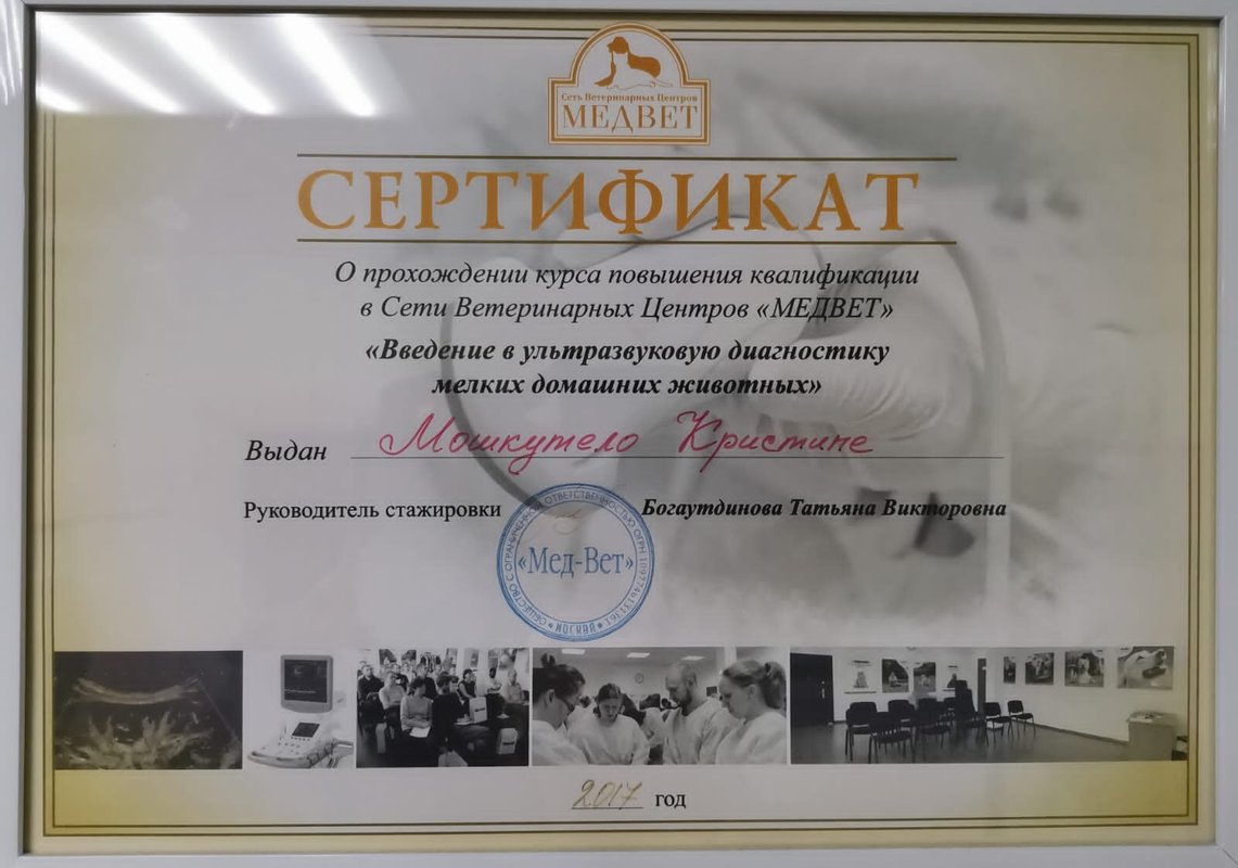 Документ или сертификат