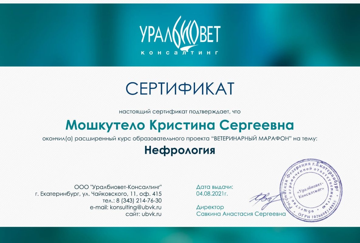 Документ или сертификат