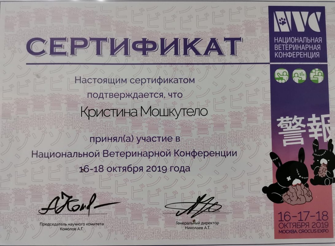 Документ или сертификат