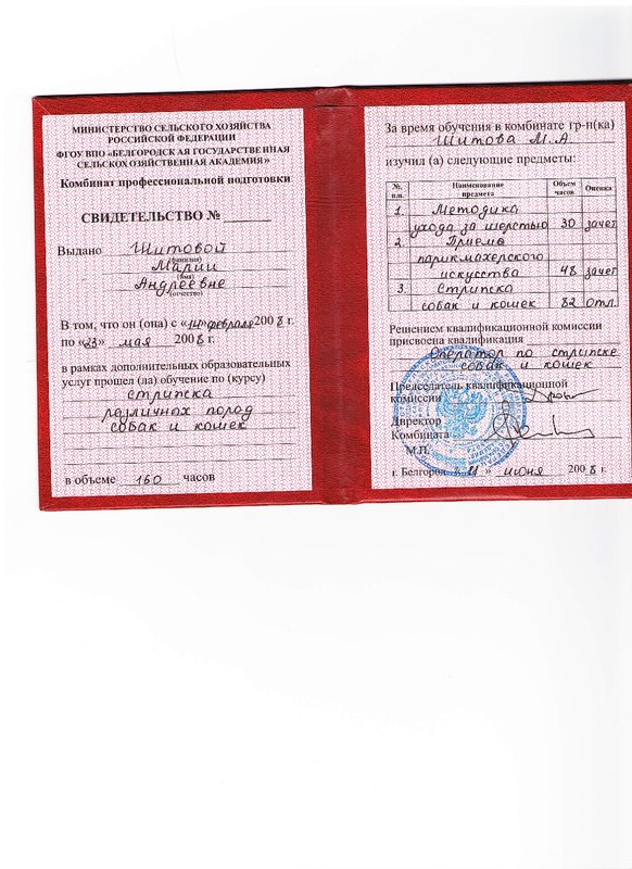 Документ или сертификат