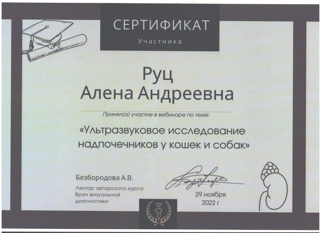 Документ или сертификат