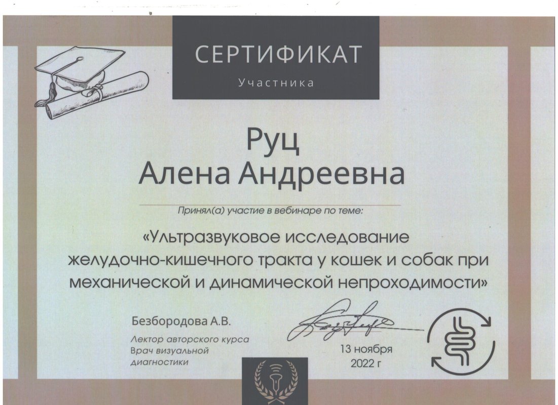 Документ или сертификат