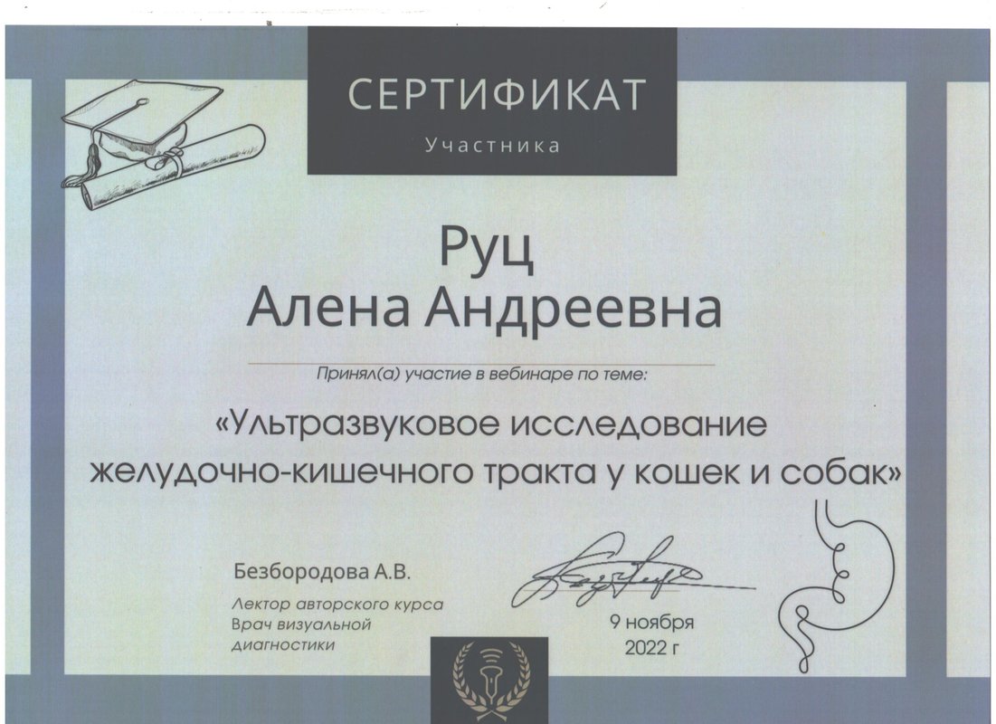 Документ или сертификат