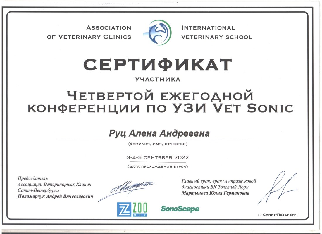 Документ или сертификат