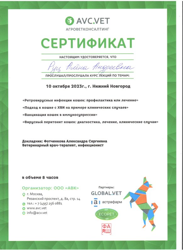 Документ или сертификат
