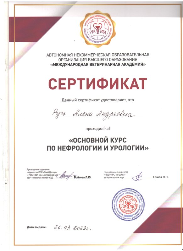 Документ или сертификат