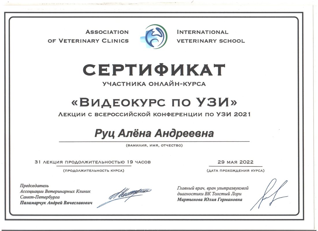 Документ или сертификат