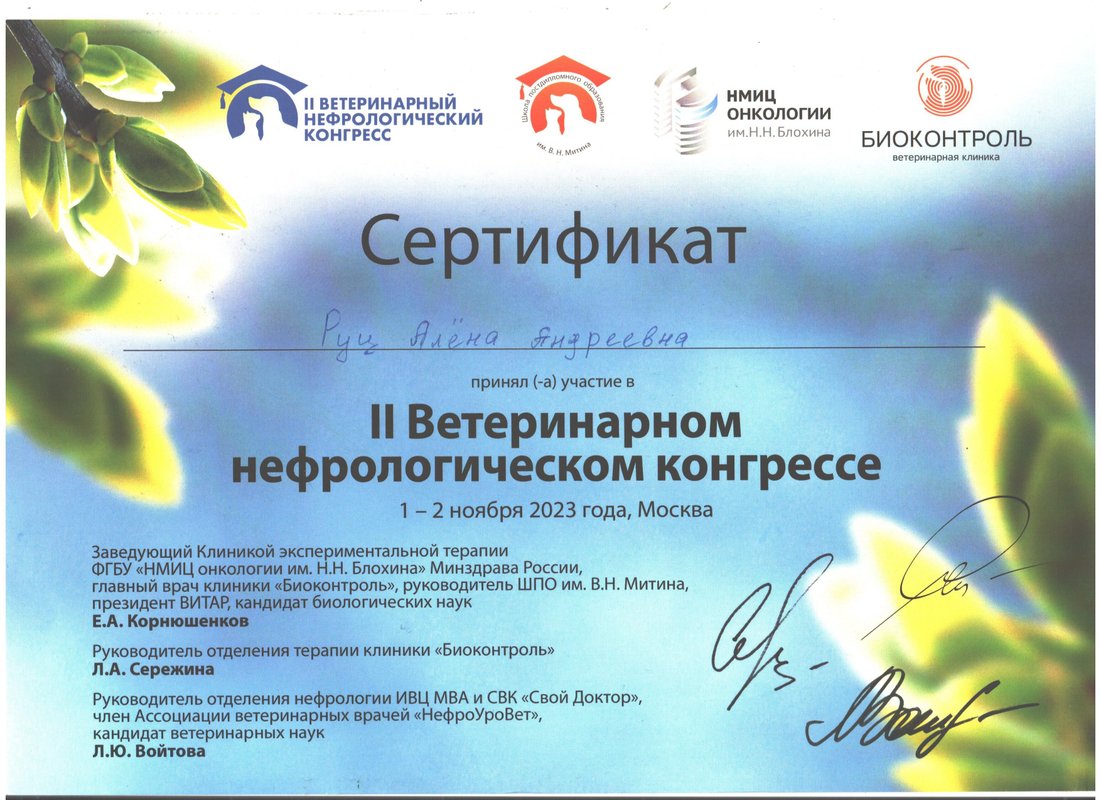 Документ или сертификат