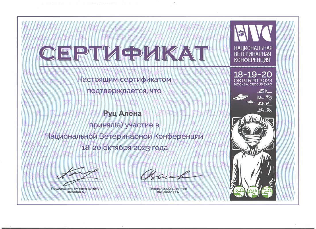 Документ или сертификат